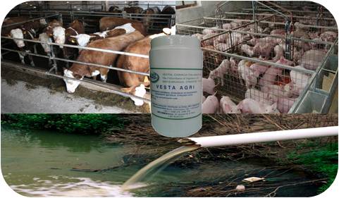 vesta agri (stocarstvo)